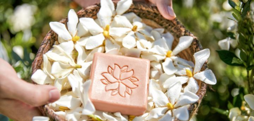 在生態(tài)友好的旅途中，愛(ài)上泰順 可持續(xù)旅游項(xiàng)目開(kāi)發(fā)與管理的探索