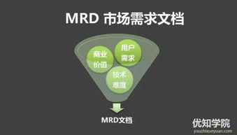 技術型產品人必備 產品開發流程與技術服務實戰指南